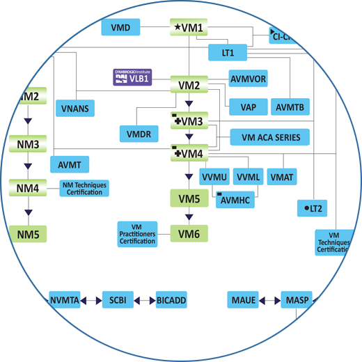 CranioSacral Therapy Curriculum Flowchart